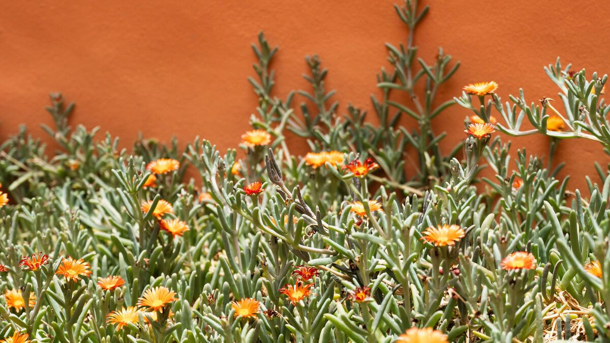 Colores de Purmamarca, Habitación